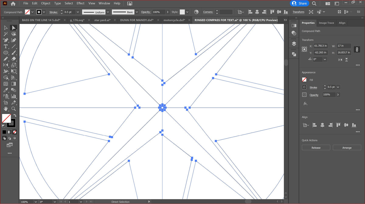 Double Ring Compass Rose vector paths in design software