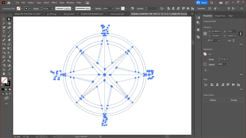 Double Ring Compass Rose vector paths in design software (photo 5)