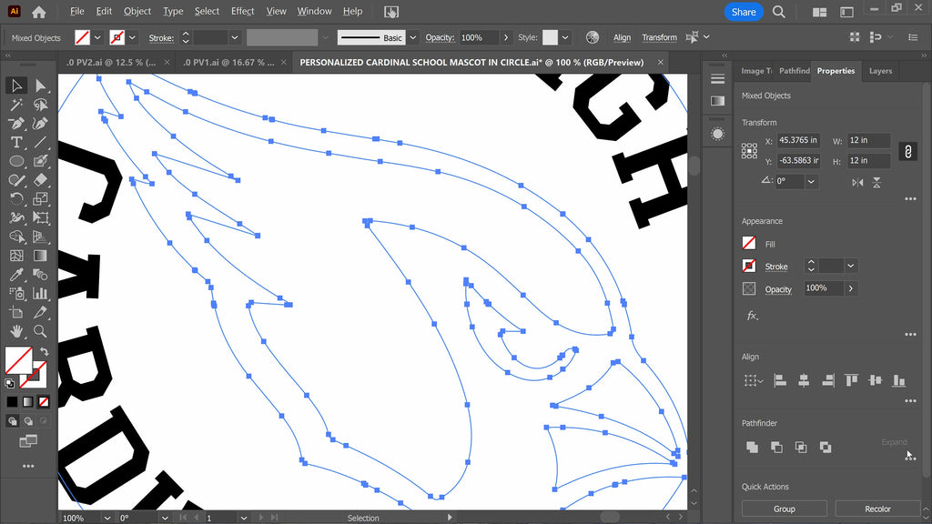 Cardinal Mascot School Sign vector paths in design software (photo 7)