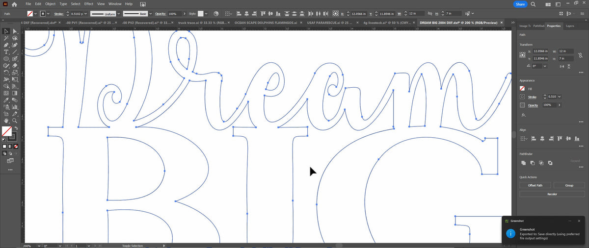 Dream Big Lettering Sign vector paths in design software (photo 7)