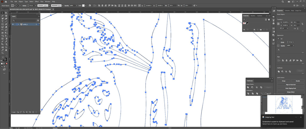 Woodpecker Sign vector paths in design software (photo 9)