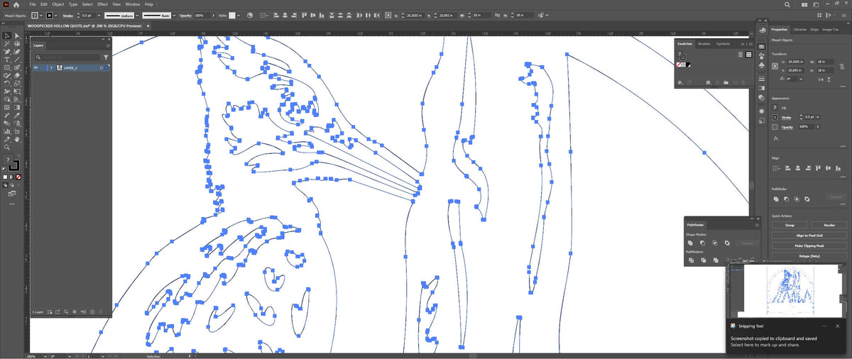 Woodpecker Sign vector paths in design software (photo 9)