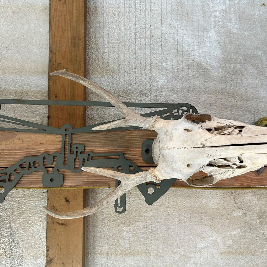 European Skull Mounts Bundle finished metal example (photo 3)