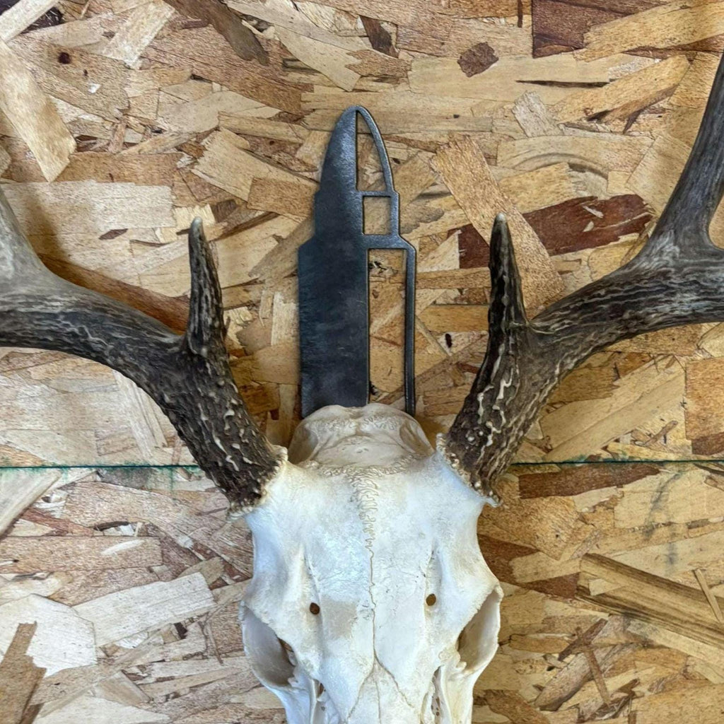 Bullet Deer Skull Mount Bracket finished metal example (photo 3)