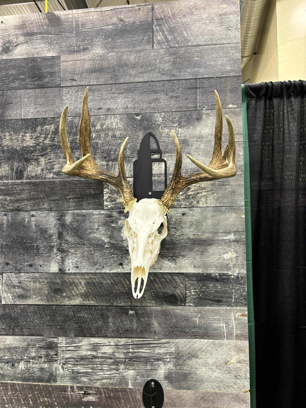 Bullet Deer Skull Mount Bracket finished metal example (photo 2)