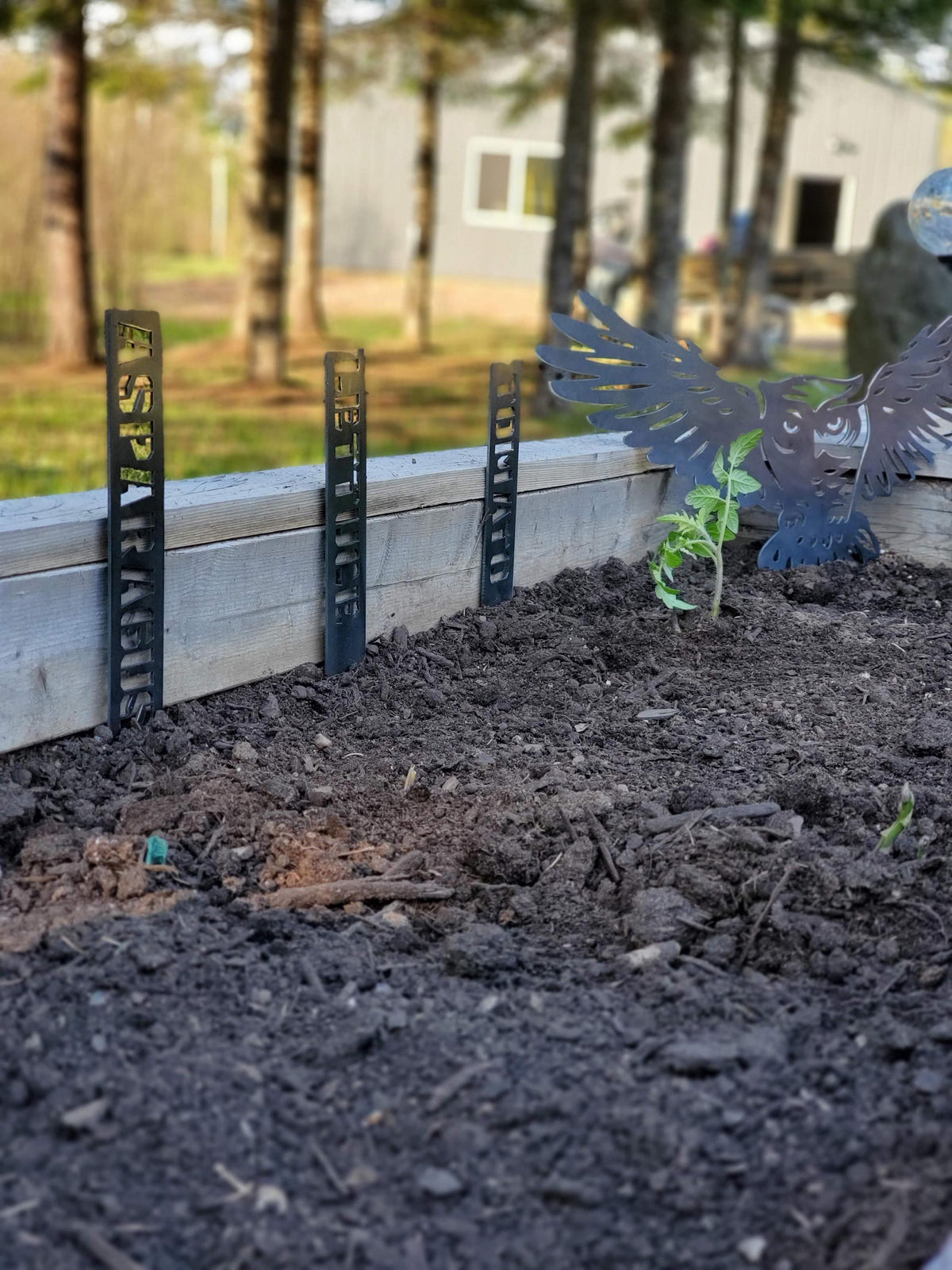 Owl Garden Stake finished metal example (photo 4)