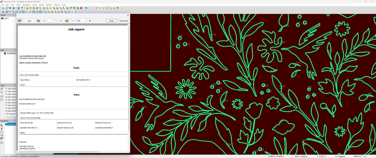 Texas Flowers State Sign vector paths in design software (photo 5)