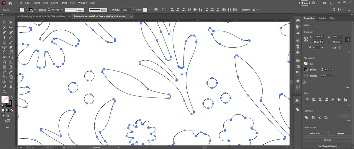 Texas Flowers State Sign vector paths in design software (photo 8)